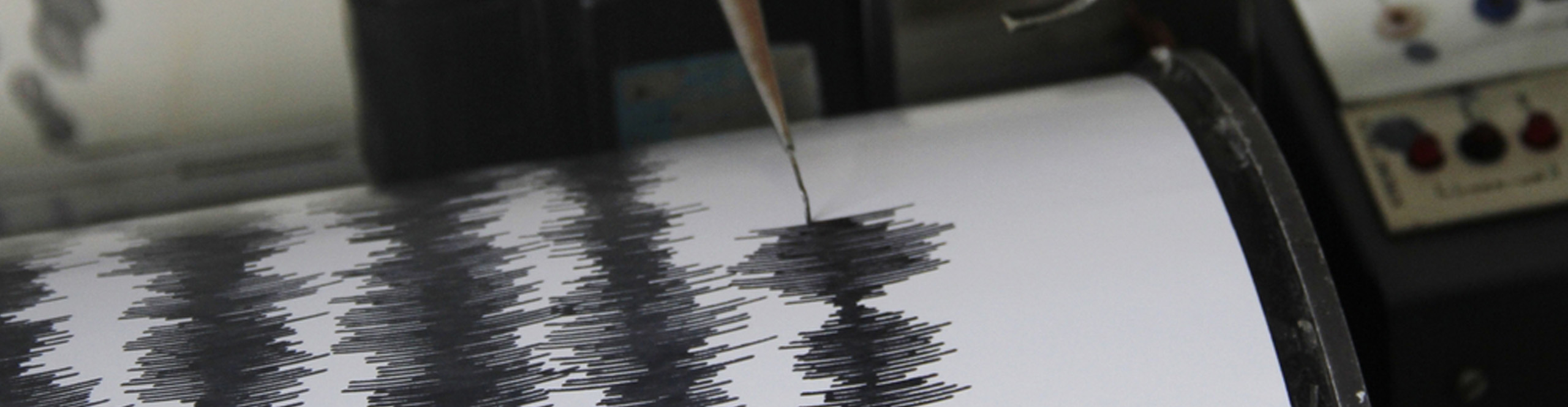 Seismic Services